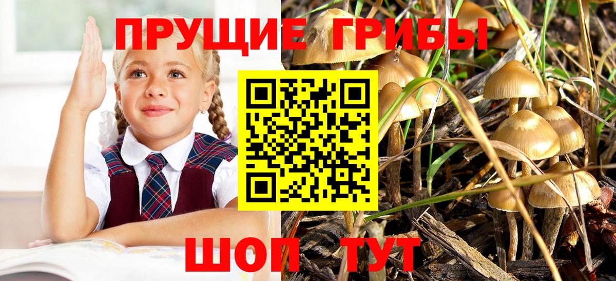 Псилоцибиновые грибы ЛСД  Галлюциногенные грибы мицелий  Вход с VPN  Россошь 